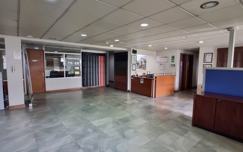 PROPIEDAD INDUSTRIAL MAIPU 12.270 M2