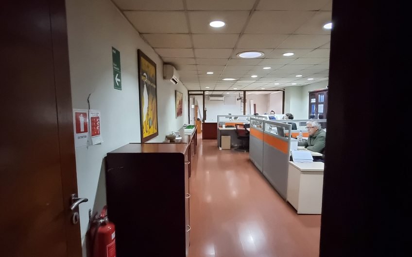 PROPIEDAD INDUSTRIAL MAIPU 12.270 M2
