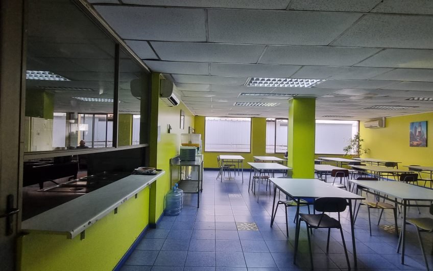 PROPIEDAD INDUSTRIAL MAIPU 12.270 M2