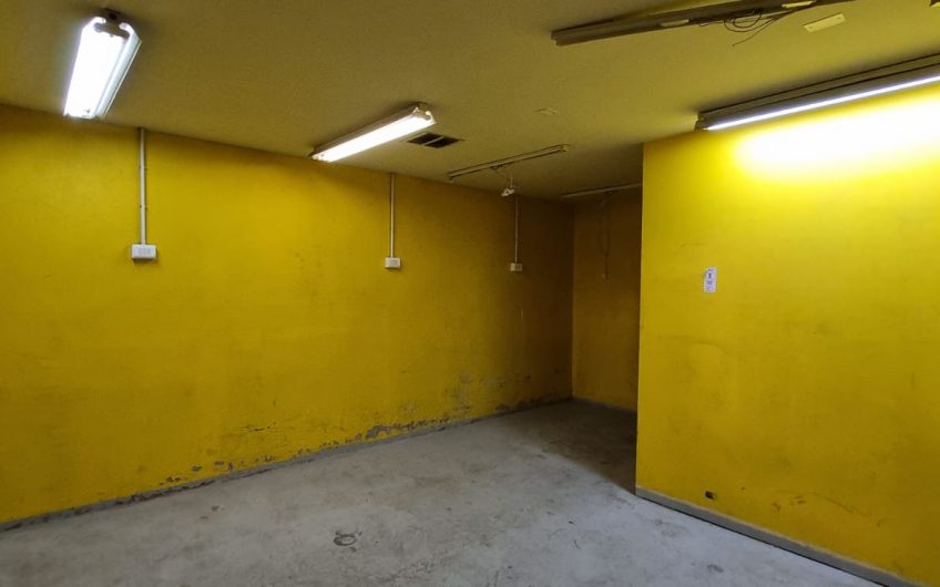 GALPON INDUSTRIAL QUINTA NORMAL