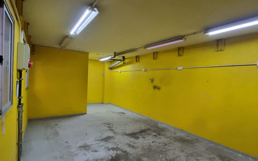 GALPON INDUSTRIAL QUINTA NORMAL