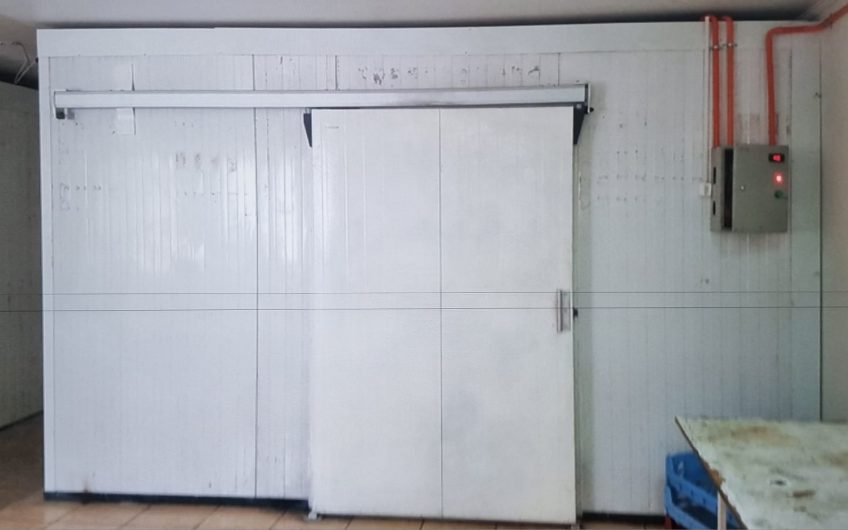 galpon industrial para alimentos congelados, Santiago