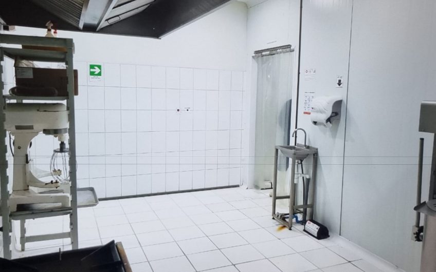 galpon industrial para alimentos congelados, Santiago