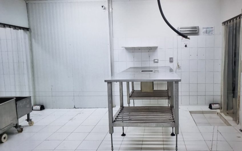 galpon industrial para alimentos congelados, Santiago