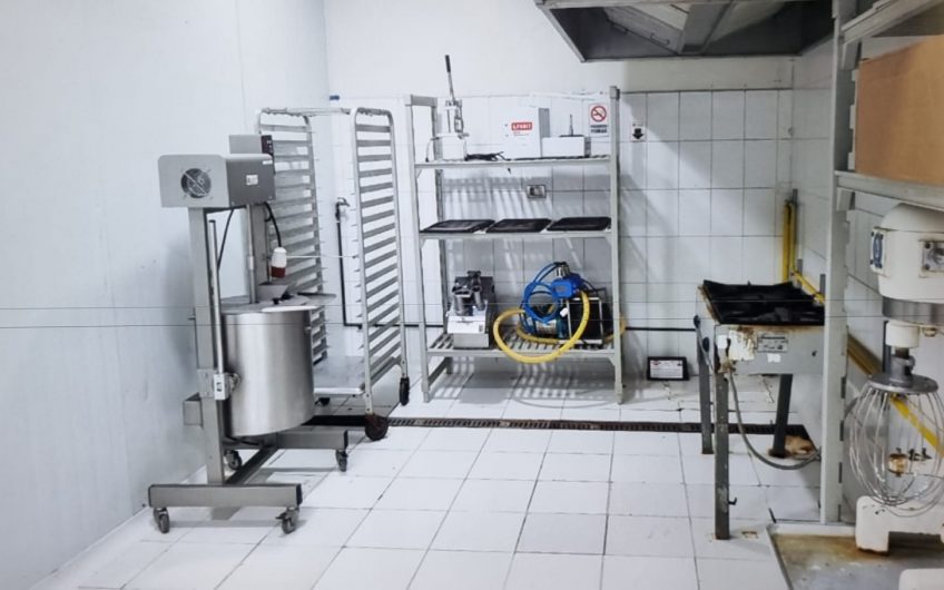 galpon industrial para alimentos congelados, Santiago