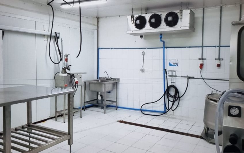galpon industrial para alimentos congelados, Santiago