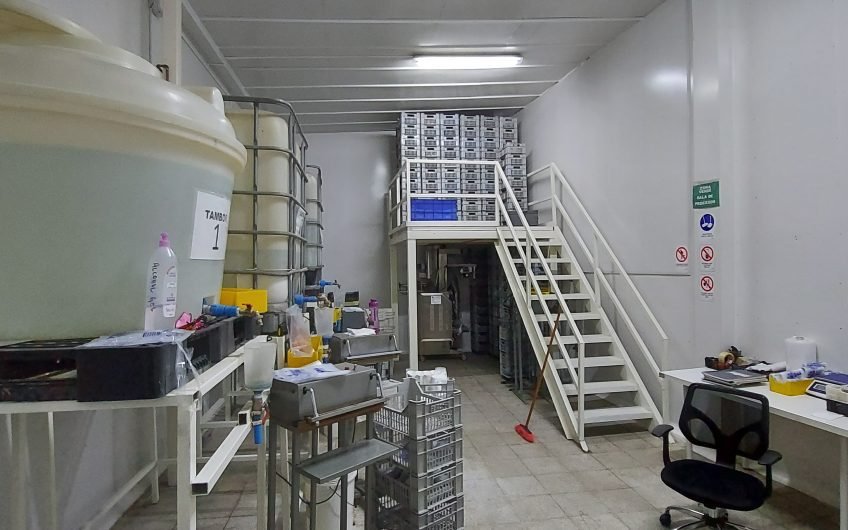 GALPON INDUSTRIAL EN QUINTA NORMAL CALLE NEPTUNO 305 M2