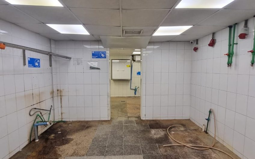 GALPON PLANTA INDUSTRIAL PARA PLANTA DE ALIMENTOS 980 M2