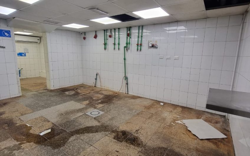 GALPON PLANTA INDUSTRIAL PARA PLANTA DE ALIMENTOS 980 M2