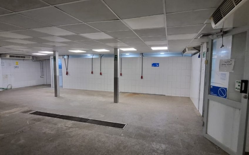 GALPON PLANTA INDUSTRIAL PARA PLANTA DE ALIMENTOS 980 M2