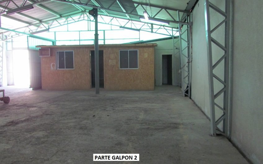 BODEGA INDUSTRIAL  QUINTA NORMAL