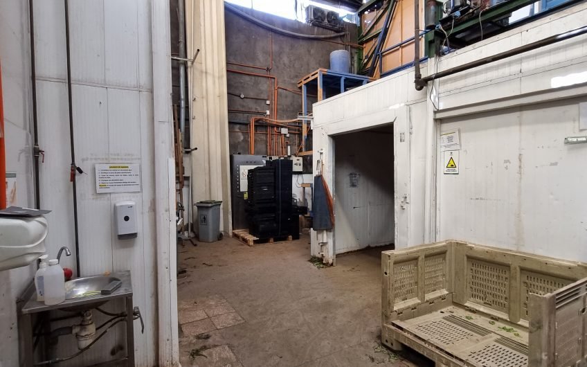 GALPON INDUSTRIAL PARA ALIMENTOS