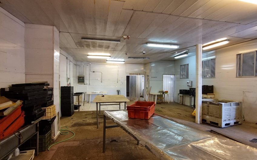 GALPON INDUSTRIAL PARA ALIMENTOS