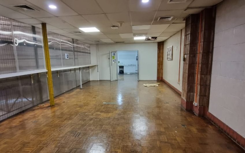 GALPON INDUSTRIAL QUINTA NORMAL ARRIENDO