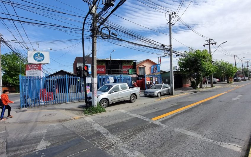 LOCAL  DISTRIBUIDORA LICORES QUILICURA