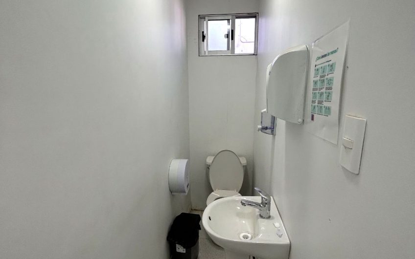Arriendo Planta Elaboradora Alimentos , Peñaflor