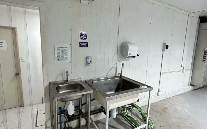 Arriendo Planta Elaboradora Alimentos , Peñaflor