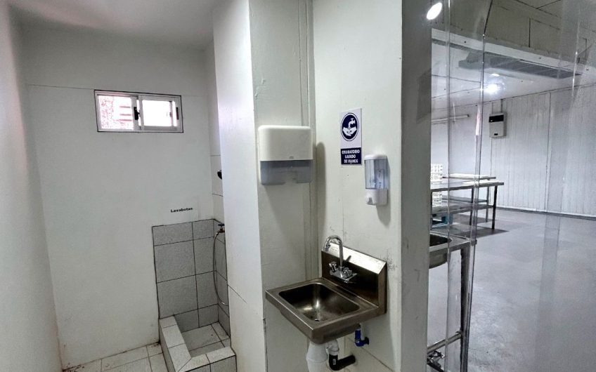 Arriendo Planta Elaboradora Alimentos , Peñaflor