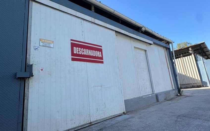 Arriendo Planta Elaboradora Alimentos , Peñaflor