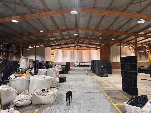 Propiedad Industrial  arriendo La Pintana