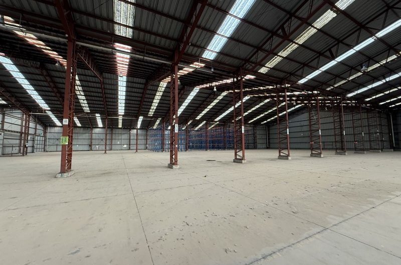 BODEGA INDUSTRIAL 1570 M2 LO BOZA